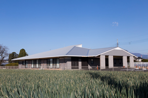 ディサービスセンター 結